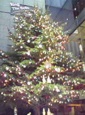 f0174894_16563514.jpg