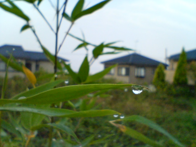 f0077595_1327290.jpg
