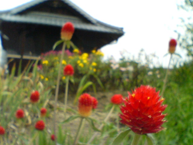 f0077595_13384100.jpg