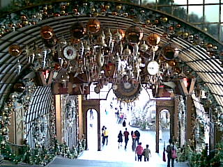 e0155496_2404690.jpg