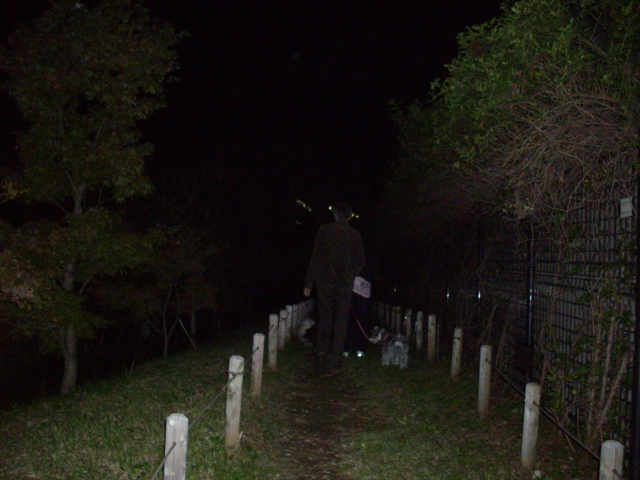 c0138198_2317335.jpg