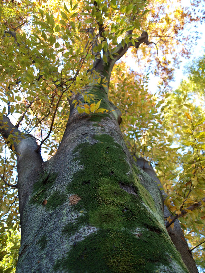 f0108399_218766.jpg