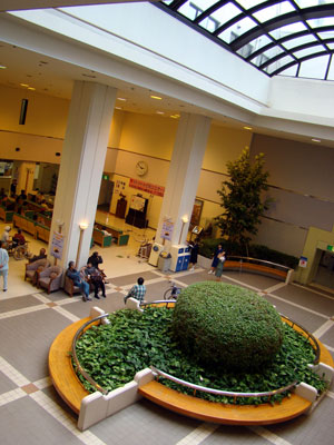 a0047200_6541260.jpg