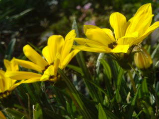 f0052603_127216.jpg