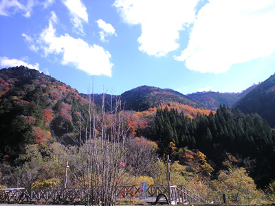 f0135908_19123477.jpg