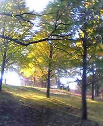 f0143412_1635828.jpg