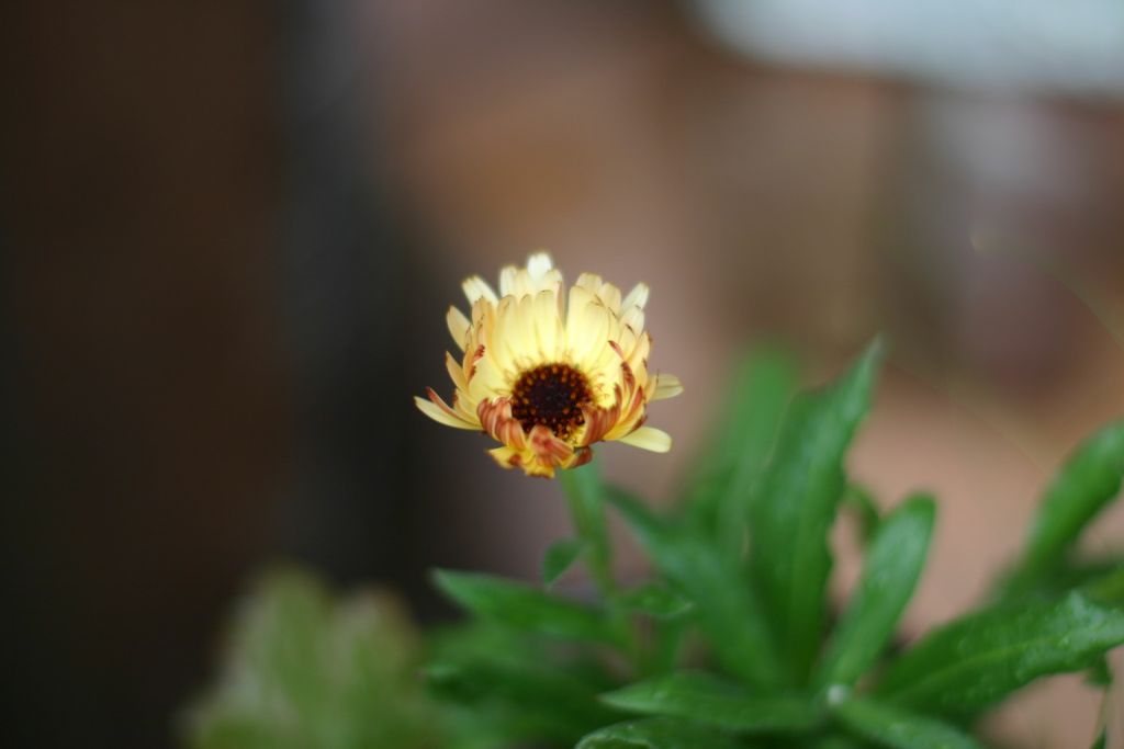 b0145314_925945.jpg