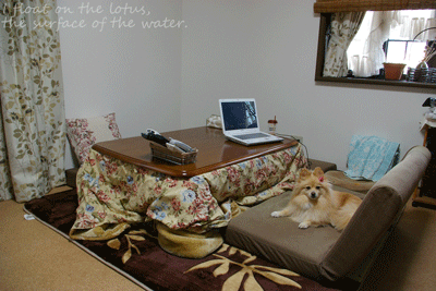 b0075318_16402196.gif