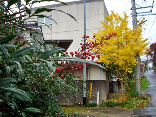 d0144618_2148321.jpg