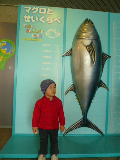a0074523_17495394.jpg
