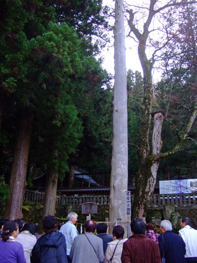f0147025_84433.jpg