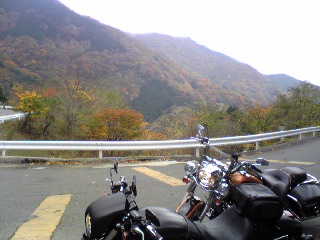 a0099129_11511638.jpg