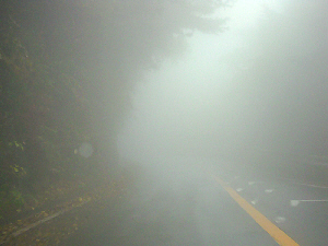 d0017632_12404931.jpg