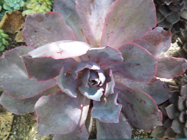 f0045433_017817.jpg