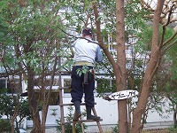 e0069234_12133843.jpg