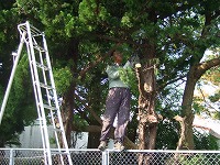 e0069234_12145228.jpg