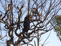 e0069234_12151422.jpg