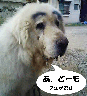 f0008935_1521716.gif