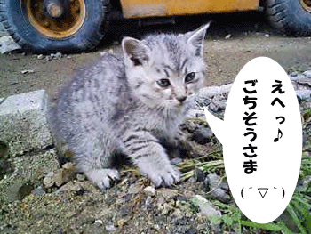 f0008935_1532028.gif