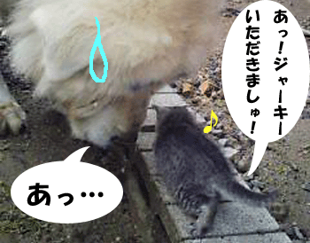 f0008935_153762.gif