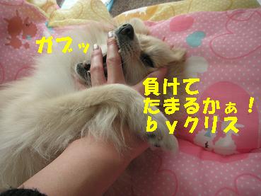 c0179136_2015223.jpg