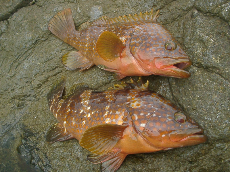 f0009238_0103864.jpg