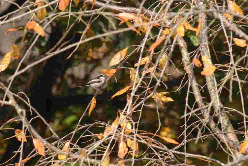 c0172139_4224813.jpg
