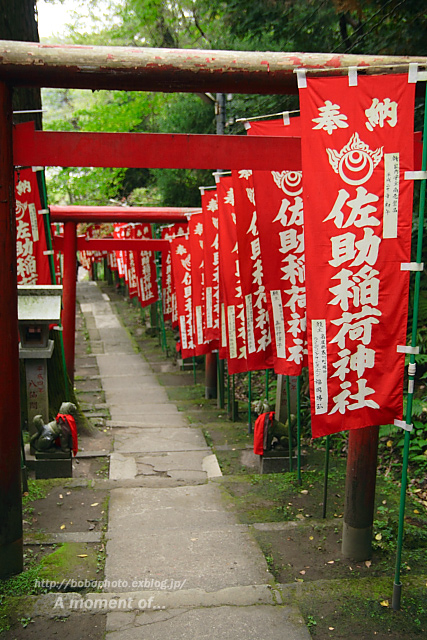 d0143741_2327641.jpg