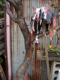 a0068350_2524059.jpg
