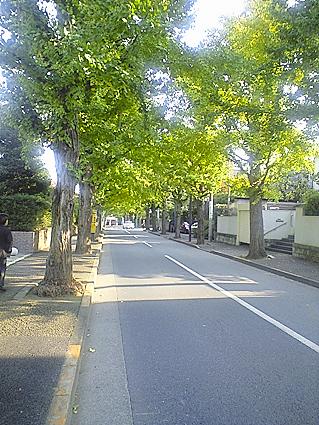 c0179152_1295143.jpg