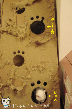 e0031853_12385315.jpg