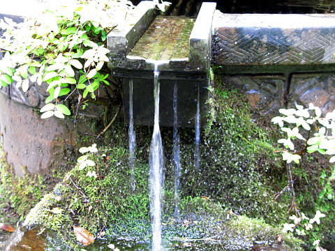 e0050753_18203988.jpg