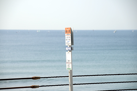 e0050753_2223380.jpg