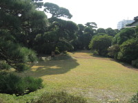 e0113254_1828588.jpg