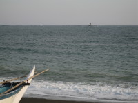 e0113254_2133895.jpg