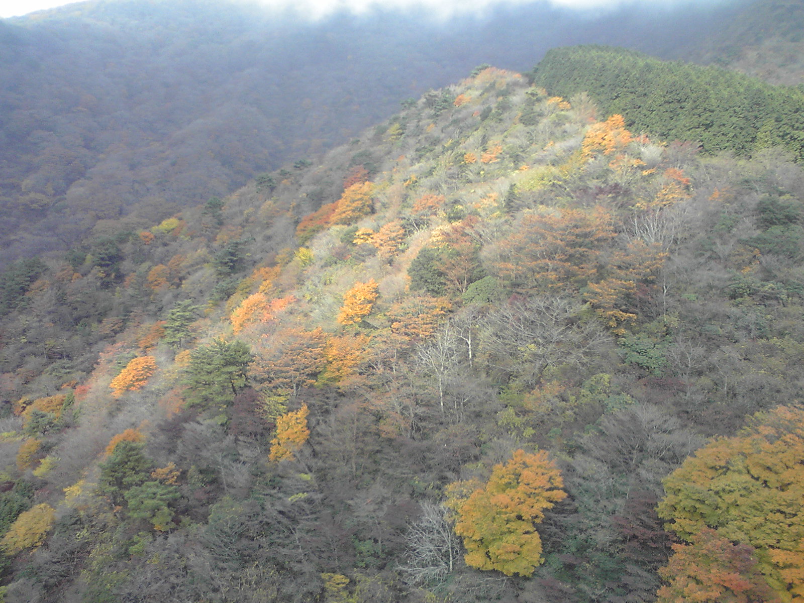 d0084765_23402514.jpg