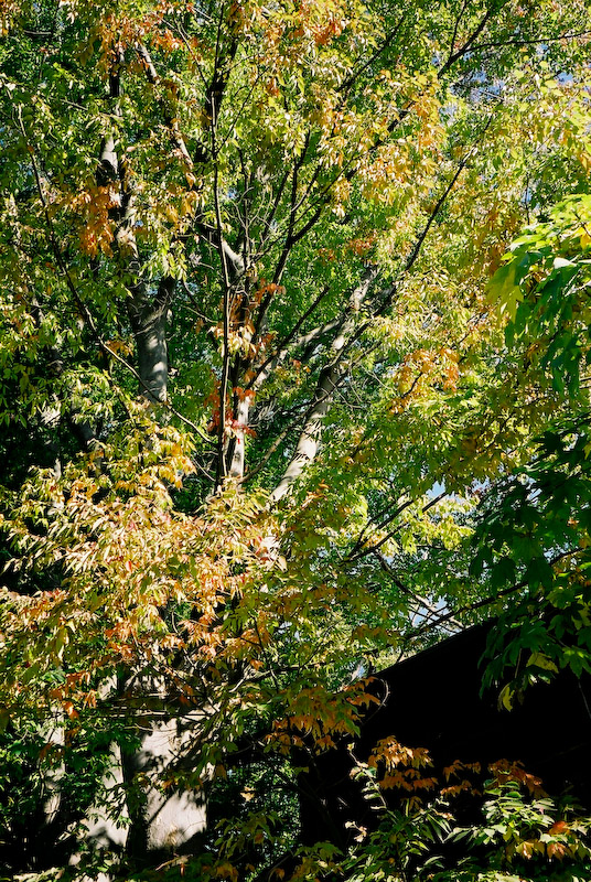 c0084666_19133649.jpg