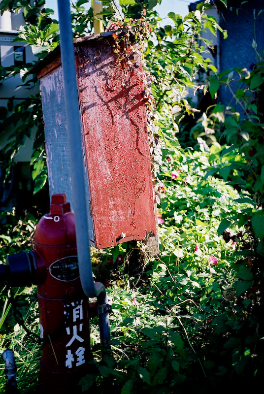c0084666_6572341.jpg