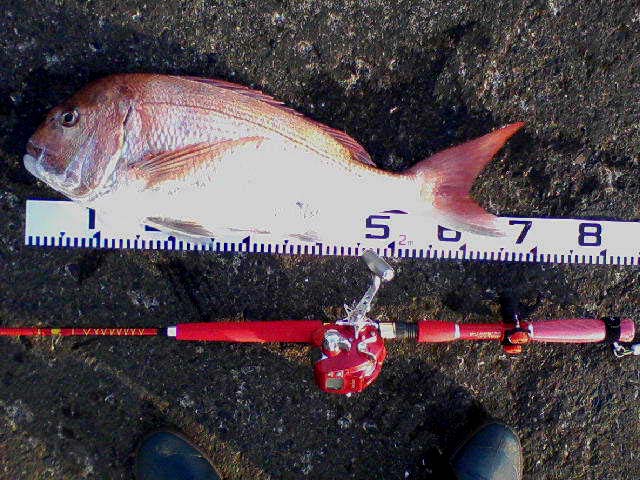 c0169168_8354610.jpg
