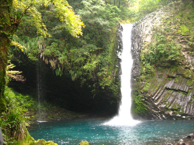 d0070473_15391378.jpg