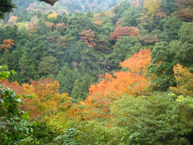 d0070473_1716833.jpg