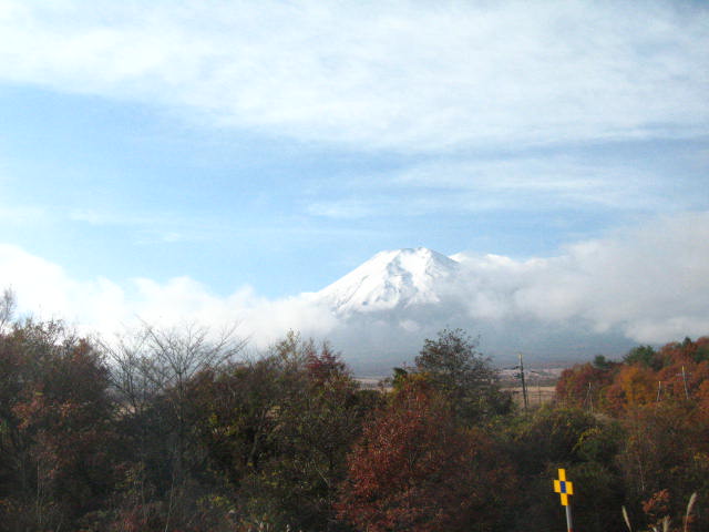 d0070473_6505094.jpg