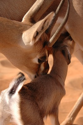 e0066474_1621530.jpg