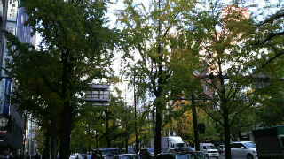 b0117276_19484649.jpg