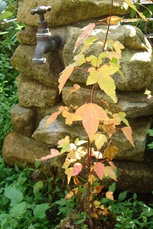 c0135480_01121.jpg