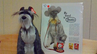 b0074782_21583092.jpg