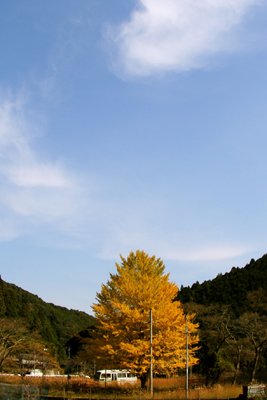 b0116083_17502949.jpg