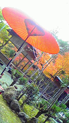 a0024189_1135535.jpg