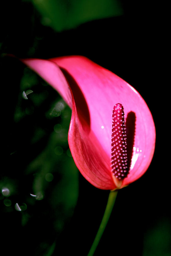 f0195893_2041081.jpg