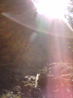 c0159398_23121759.jpg